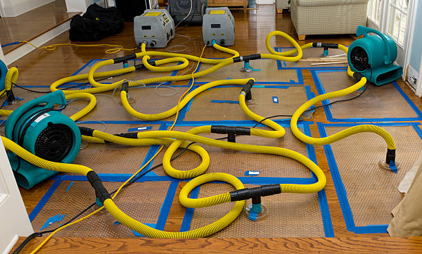 Professional Crawl Space Water Removal technician working in Guys, TN